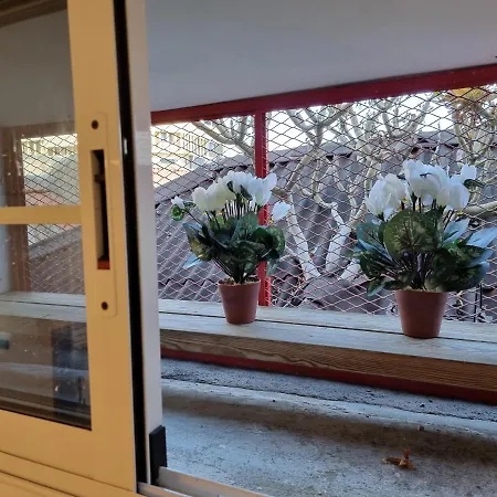 En El Casco Historico De Cruz Санта-Крус-де-Тенерифе