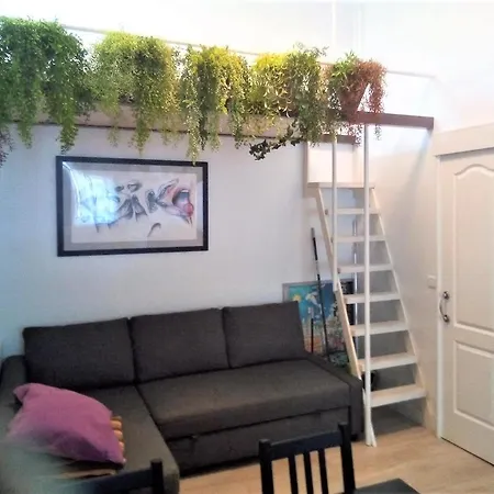 En El Casco Historico De Cruz * Санта-Крус-де-Тенерифе