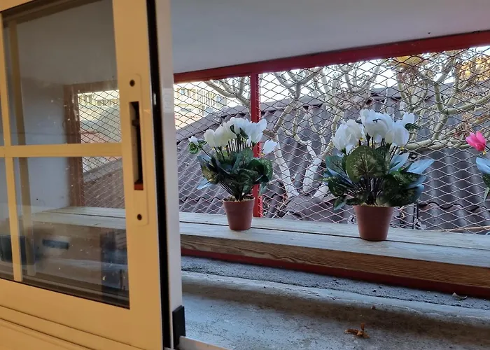 En El Casco Historico De Cruz Santa Cruz de Tenerife