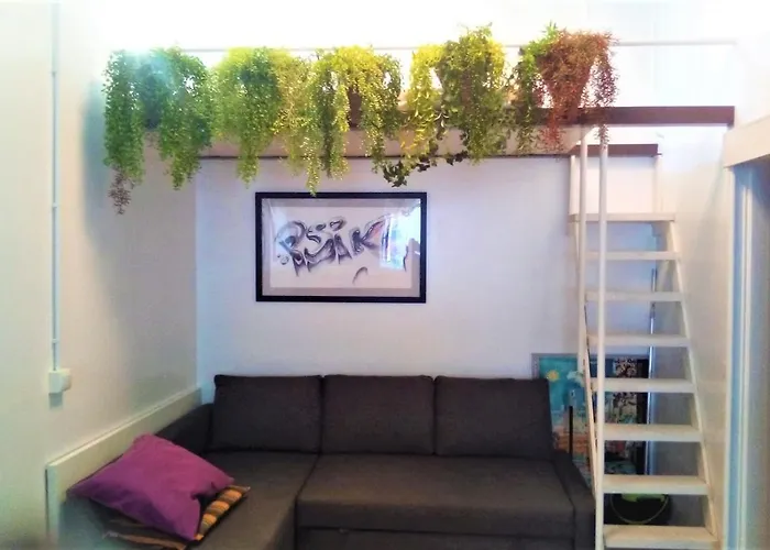 En El Casco Historico De Cruz Santa Cruz de Tenerife