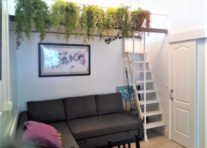 En El Casco Historico De Cruz * Santa Cruz de Tenerife